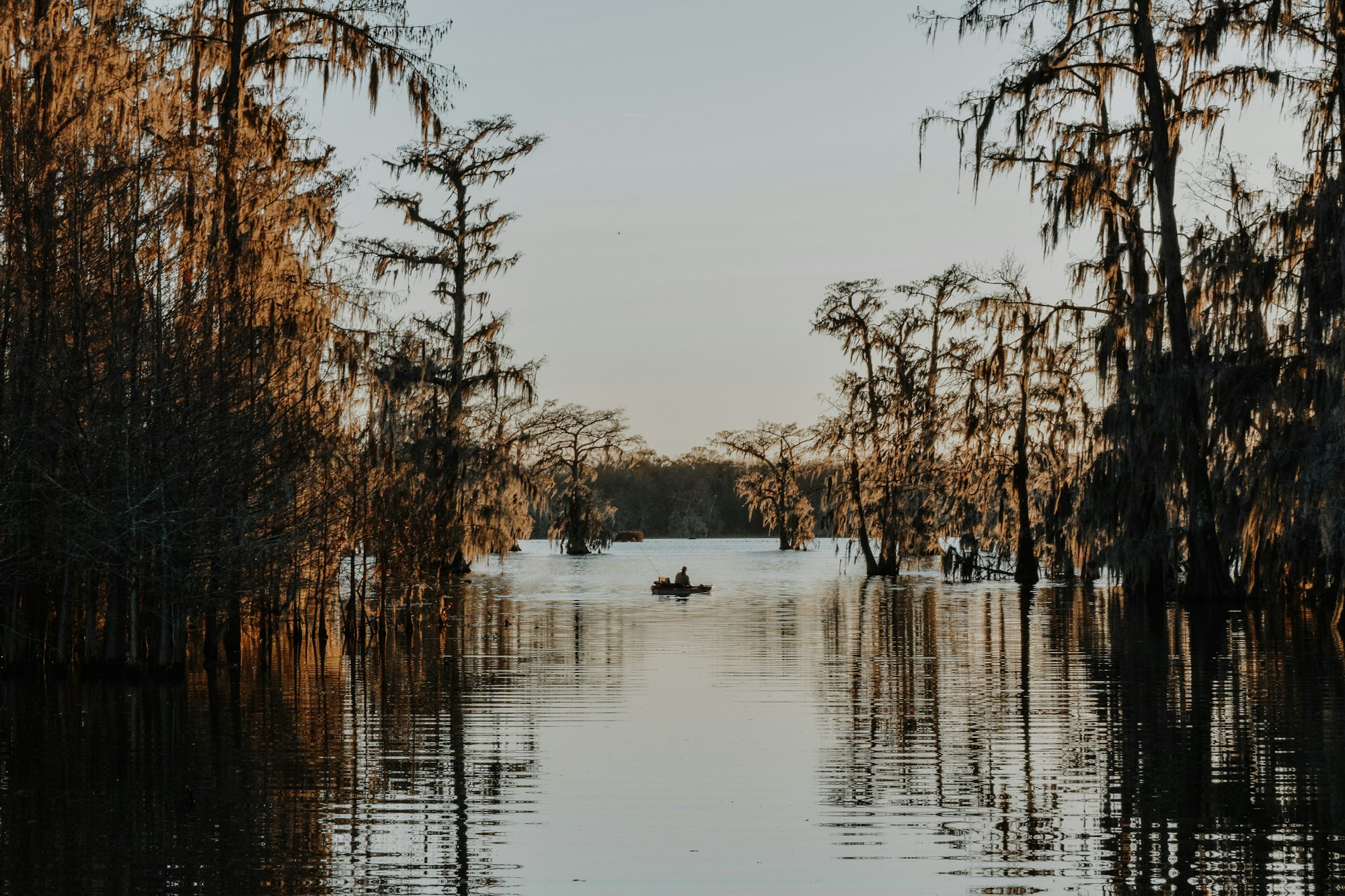 A lone boat on still water between moss-hung cypress trees at dusk in south Louisiana.